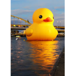 Duckies Group!