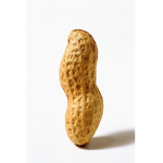 The Nut Group Of Cool People