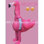BIG Chill Flamingos United