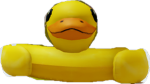 kaczkii