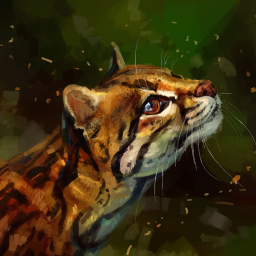 Ocelot land
