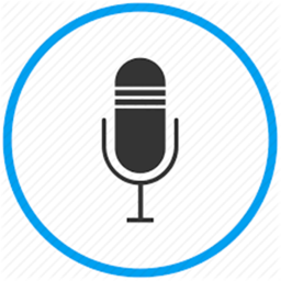 Voice Chat