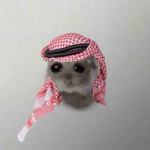 Arya’s Hangout