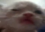 ΩNK