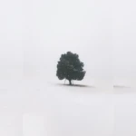 Charlie's UGC Group Thumbnail