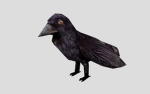 Cawcaw community