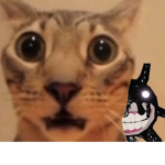 Aarontheslayer0