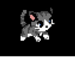 Arikwii
