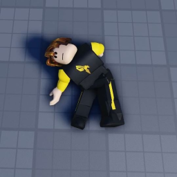ragdoll test 1A icon