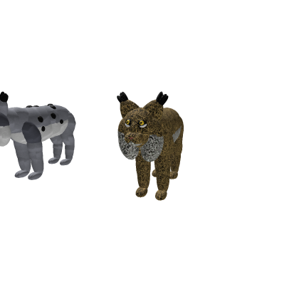 Lynx And BobCat