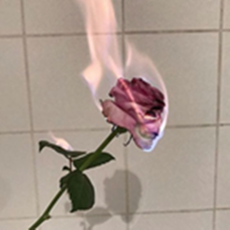 your aesthetic Homestore V.1
