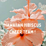 - Hawaiian hibiscus -