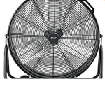 The fans ………………….