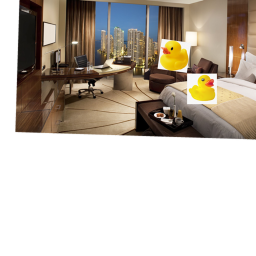 ducks in the hotel!