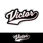 viitorioo's company