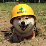 Roblox FCL