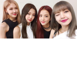 the BLACKPINK fan group!