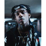 Vice Lord$
