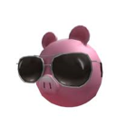 OINK TEAM