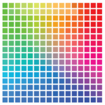 The kolor group