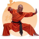 Shaolin Robloxia
