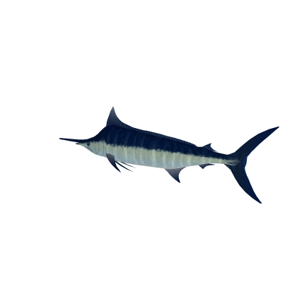Marlin