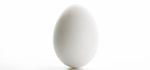 Eggcallent Games