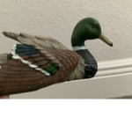Ducks United Group Club