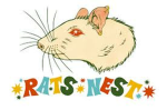 The OG Street Rats