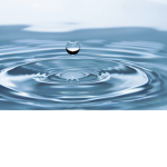 FreshWaterClothings