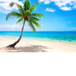Tropical Hotel