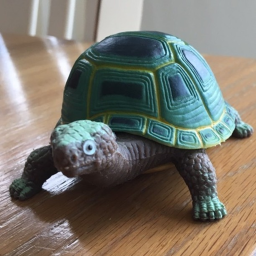Be Turtle With Harry