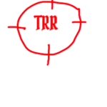 The Roblox Raiders (RR)