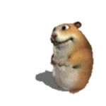 Normal Chomik