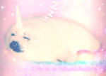 unicorn seal