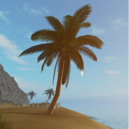 Sharky Beach!