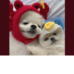 khloe’s friends
