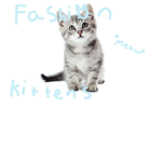 Fashion Kittens