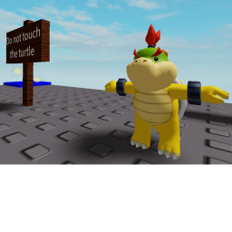 Do not touch the turtle