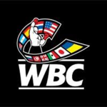 WBC lion League