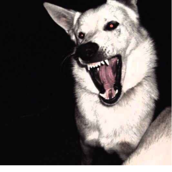 ฏ๎๎๎๎๎๎๎๎๎๎๎๎๎๎๎๎๎๎๎๎๎๎๎๎๎๎๎๎๎๎๎๎๎๎๎๎๎๎๎๎๎๎๎๎๎๎๎๎๎