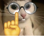 mmmmwaaamwamwammmmwaa