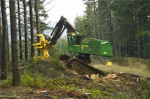 Robloxian logging