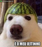 Só pos cria, alex rodri