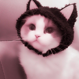♡