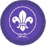 beavers/cubs/scouts/explorers/scout boss/