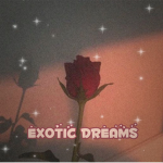 ۰EXOTIC DREAMS۰
