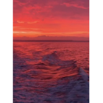 Not_haydxn