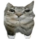 The.meowfia