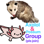 Axolotl and Possum group (pls join)